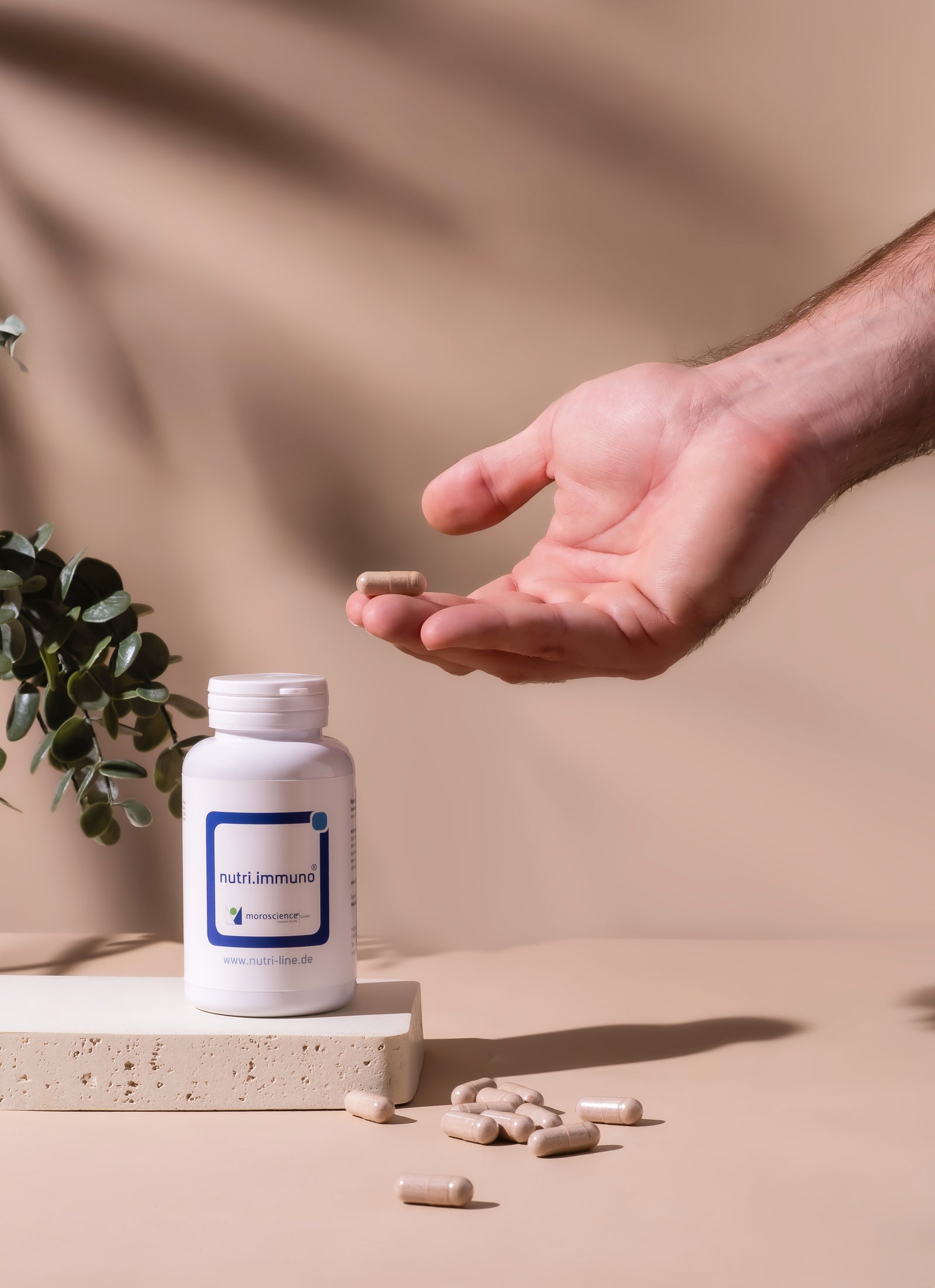 Model Haelt Nutri Immuno Kapsel Erdton