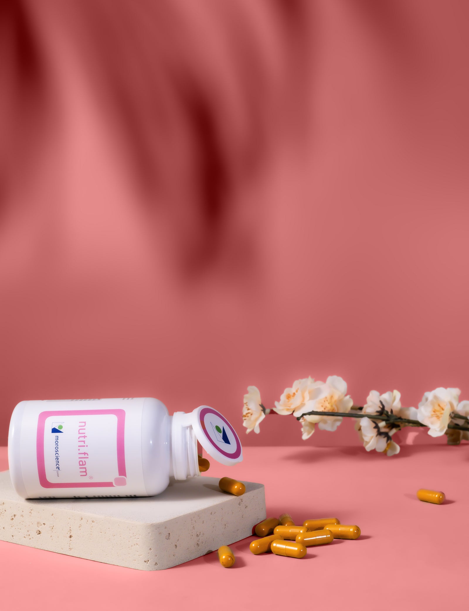 Nutri Flam Liegend Kapseln