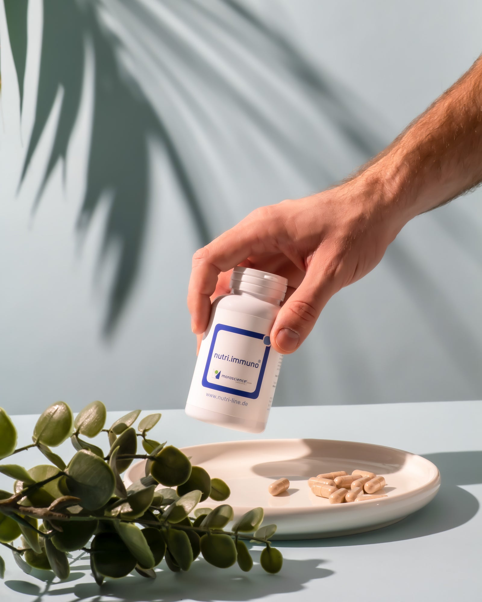 Model Nutri Immuno Kapseln