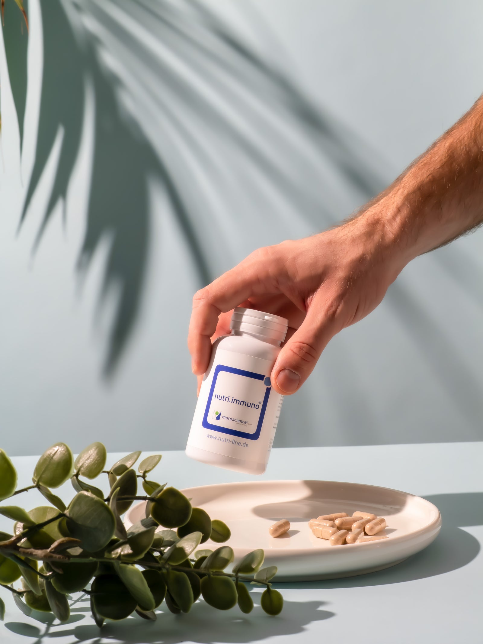 Model Nutri Immuno Kapseln