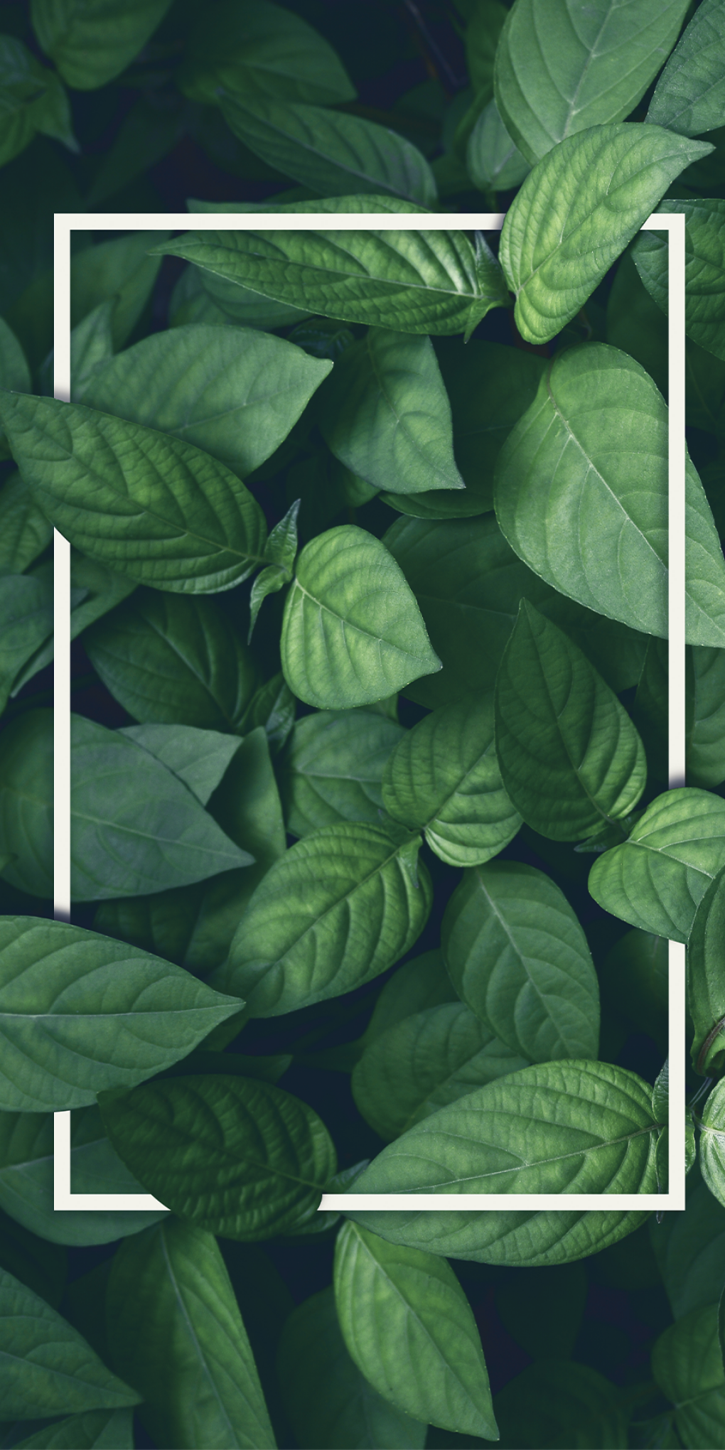 Grüner Hintergrund mit Blättern